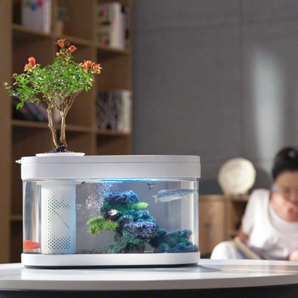 5600 Koleksi Design Aquarium Kecil HD