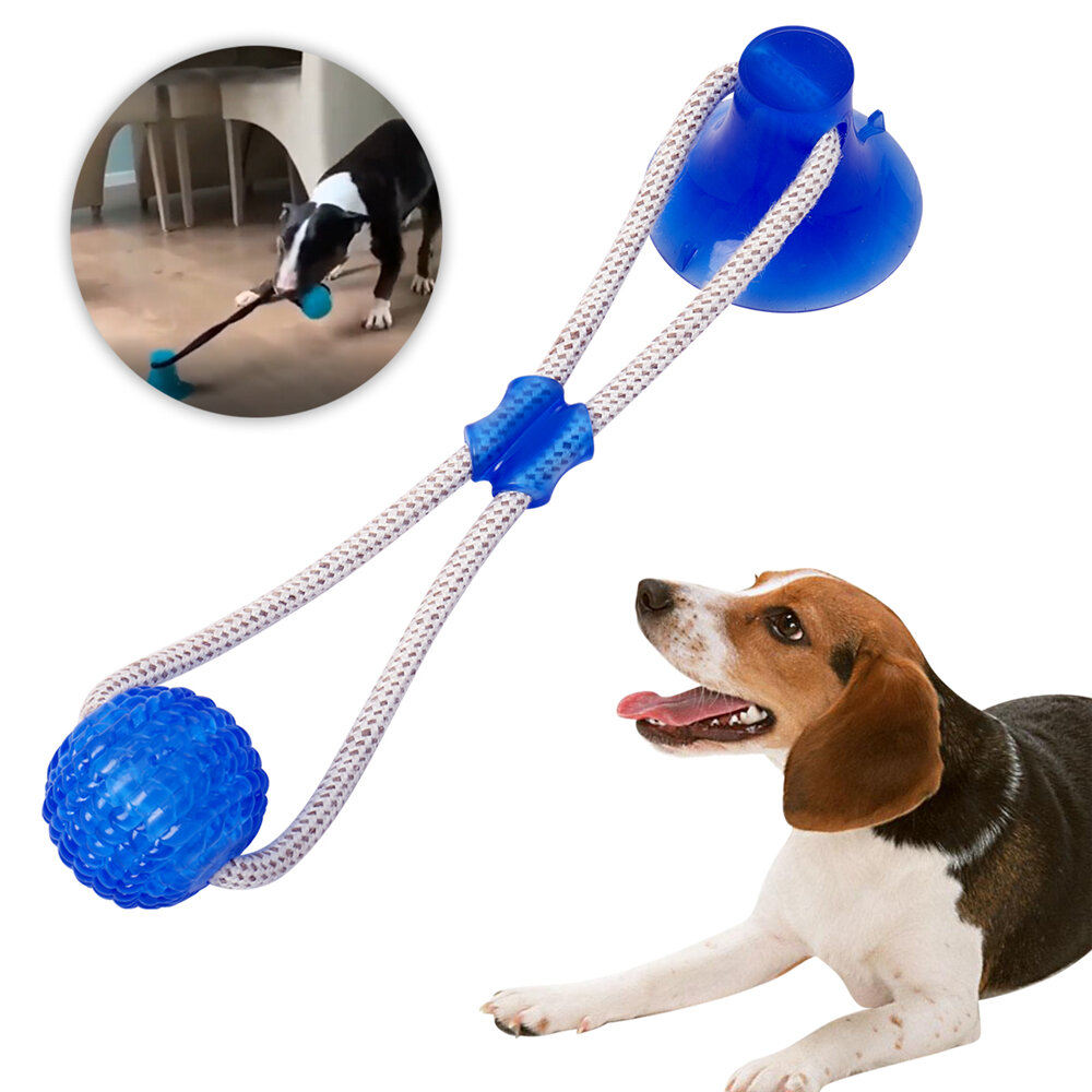 Multifonction Pet Molar Bite Chien Jouets En Caoutchouc Chew Ball Chiot Aspiration Tasse Chien Mordant Jouet Nettoyage Des Dents Sécuritaires Soft