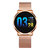 Newwear Q8 Reloj inteligente de Ritmo Card&iacute;aco Presi&oacute;n Arterial con Pantalla a Color OLED de 0.95 Pulgada de Acero inoxidable 