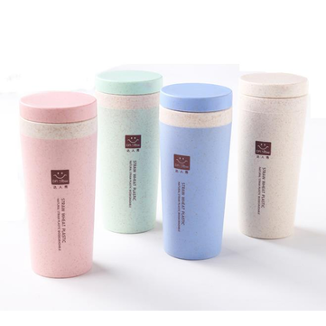 Bouteille Deau Disolation De Tasse De Vide De Thermos Portative De Voyage De 300ml 6 Heures